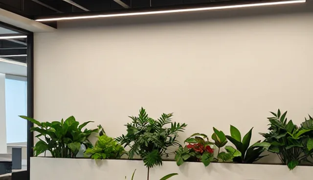 网站维护中数据营销分析的误区澄清